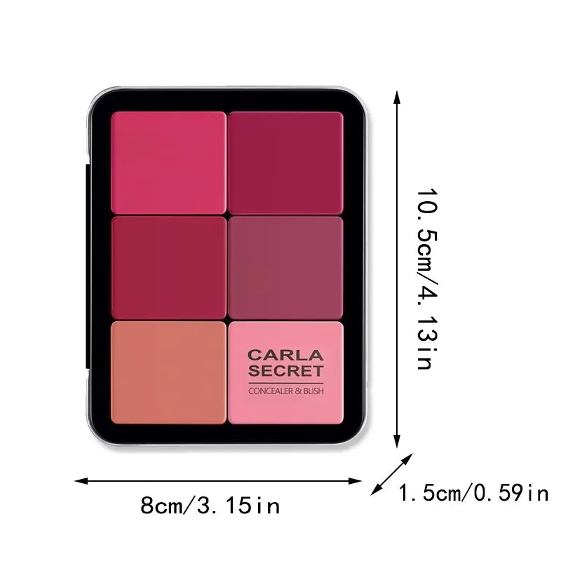 12-Color Concealer & Blush Palette for Face Contouring